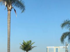 -厦门高崎国际机场-T3航站楼