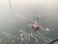 -猪脑壳凉面(武陵源店)