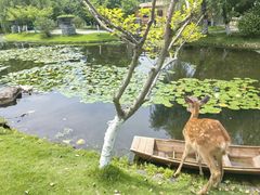 -宁波九龙湖开元度假村