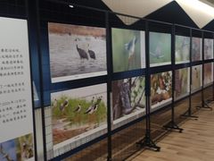 -朵云书院(滴水湖店)