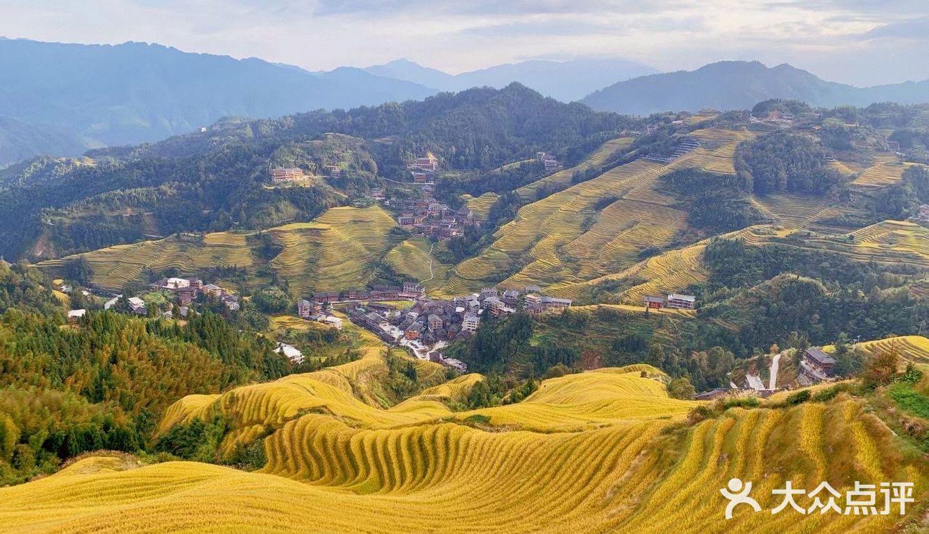龙脊“梯田”带你感受大自然的馈赠🍃