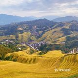 龙脊“梯田”带你感受大自然的馈赠🍃