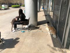 -Jamaicablue Coffeeshop(中央广场店)