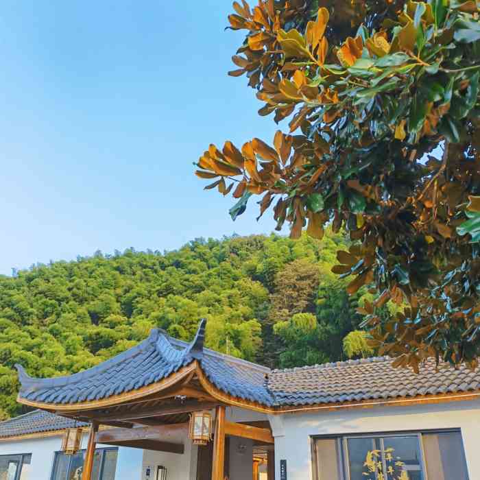 大酒壶农庄-"五一节假日去的,桌都满了,没有预定不能吃.