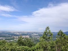 -阳台山自然风景区