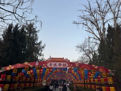 -大槐树寻根祭祖园