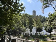 -深圳国际园林花卉博览园