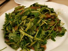 香菜牛舌-新南华大酒店(广中店)