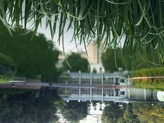 android_upload_pic-南馆公园