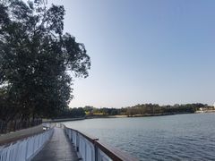 -仙湖旅游度假区
