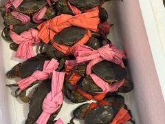 -不炭白烧烤(成都首店)