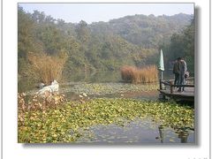 -天目湖山水园
