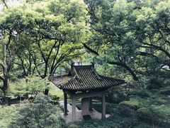 -杭州花家山庄