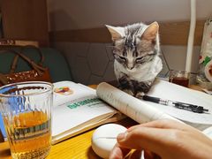 -有何Book(六堰体育馆店)