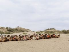 -黄沙古渡原生态旅游区