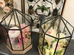 -植物学家的女儿(北马道巷店)