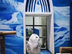 -成都浩海立方海洋公园