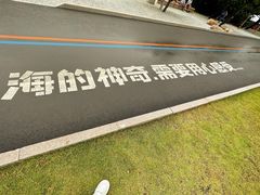 -小麦岛公园