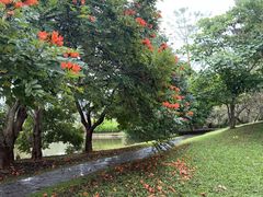 -中国科学院西双版纳热带植物园