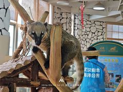 -海合安武汉极地海洋公园