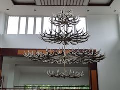 -北京麋鹿生态实验中心