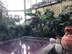 -仁爱团泊湖温泉中心