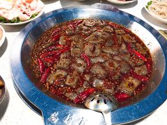 -马帮寨院坝火锅(龙港公园店)