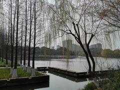 -圩墩遗址公园
