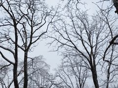 -武陵山森林公园