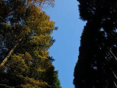-山王坪喀斯特国家生态公园