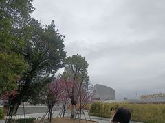 -福州海峡文化艺术中心