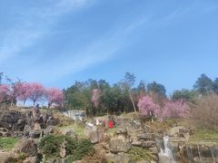 -秀丽东方