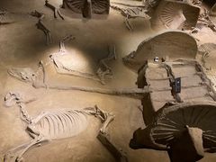 -洛阳周王城天子驾六博物馆