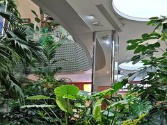 -吕氏疙瘩汤·海鲜新鲁菜(凯德mall新都心店)
