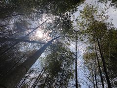 -千泷沟大瀑布旅游区