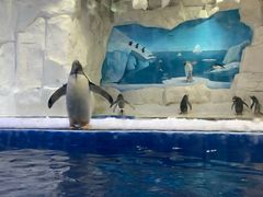 -华夏文旅海洋公园