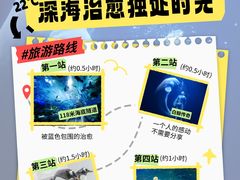 -大连圣亚海洋世界