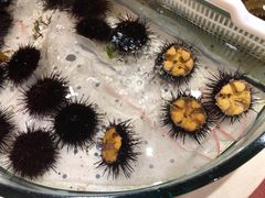 -老虎滩船说·海胆水饺·大连海鲜(老虎滩店)