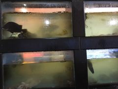-丰收渔港饭店(嵊泗店)