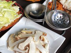 -蘑统田下·野生菌火锅