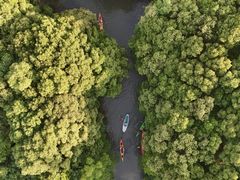 -动邦皮划艇·桨板·独木舟·团建户外运动俱乐部