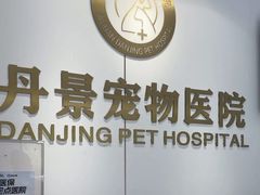 -丹景宠物医院·全科·老年病·牙科(武昌诊疗中心)