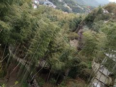 -四明山国家森林公园