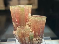 -安徽省地质博物馆