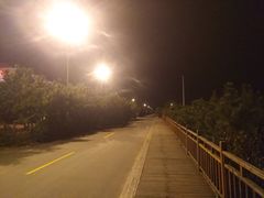 -日照海滨国家森林公园