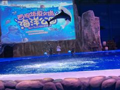 -华夏文旅海洋公园