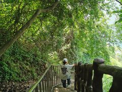 -仙岛湖旅游风景区