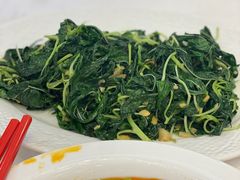 清炒麻叶-金华安大酒楼·老牌潮菜·粤式茶点(东方国际店)