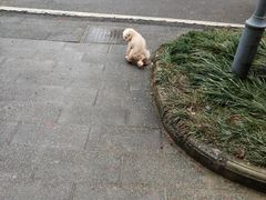 -汤山温泉房车营地 茶温泉