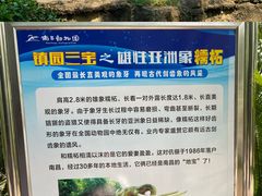-南昌动物园